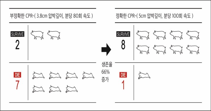 심폐소생술정확도의 중요성